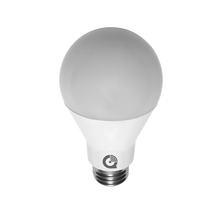  IQ Light Bulb