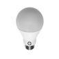IQ Light Bulb